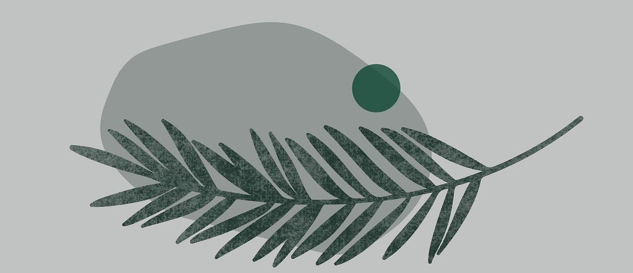 stone and leaf